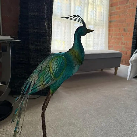 Staycation At 1 Cocoa With Free Parking York